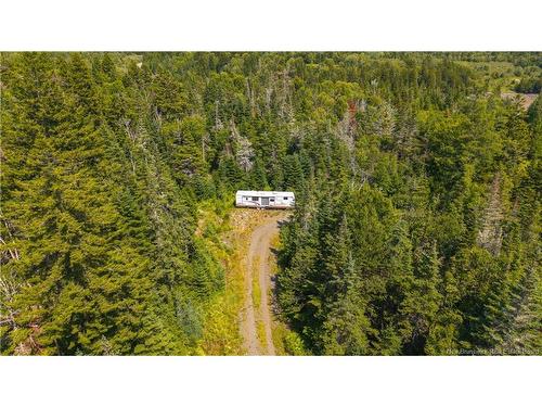 294 Route 172, Letang, NB - Outdoor With View