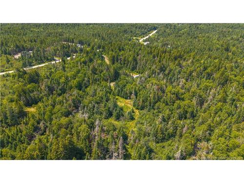 294 Route 172, Letang, NB - Outdoor With View