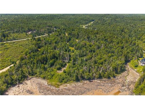 294 Route 172, Letang, NB - Outdoor With View