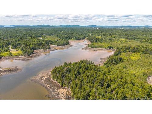 294 Route 172, Letang, NB - Outdoor With View