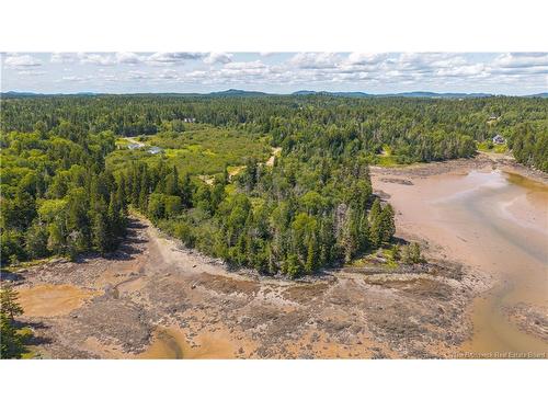294 Route 172, Letang, NB - Outdoor With View