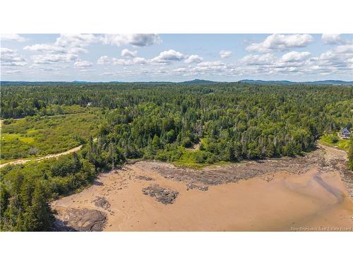 294 Route 172, Letang, NB - Outdoor With View