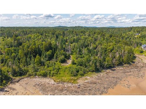 294 Route 172, Letang, NB - Outdoor With View