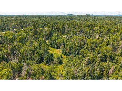 294 Route 172, Letang, NB - Outdoor With View