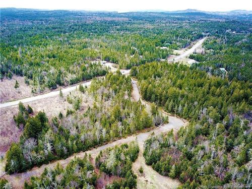 294 Route 172, Letang, NB - Outdoor With View