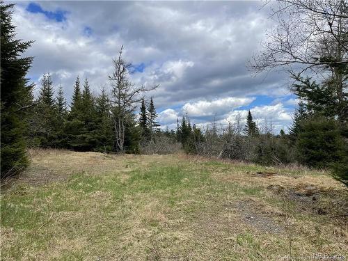 294 Route 172, Letang, NB - Outdoor With View