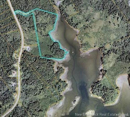 294 Route 172, Letang, NB - Outdoor With View