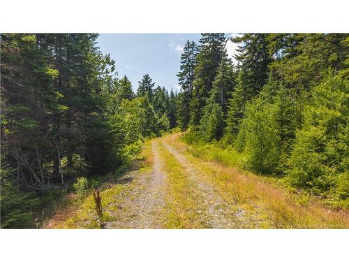294 Route 172, Letang, NB - Outdoor With View