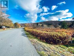 86 Riverdale Crescent Salmon Cove, NL A0A 3S0