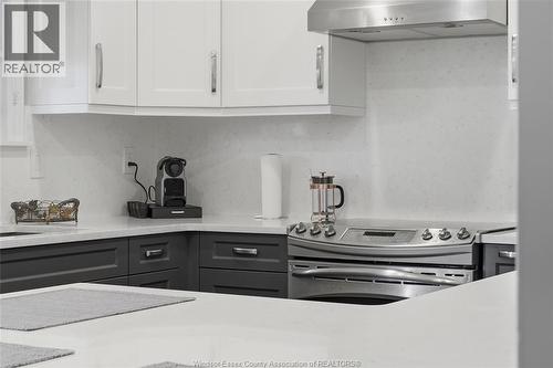 682 Michael Drive, Tecumseh, ON - Indoor Photo Showing Kitchen With Upgraded Kitchen