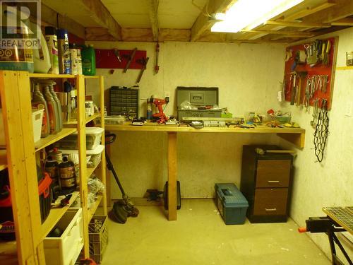 40 Loop Road, Terra Nova, NL - Indoor Photo Showing Basement