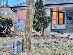 282 ROYWOOD DRIVE Toronto, ON M3A 2E6