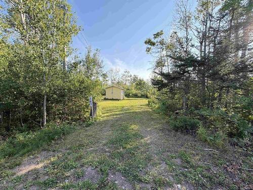 147 Ferry Branch, North Wallace, NS 