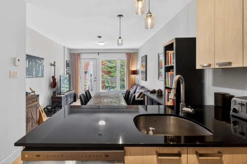 Kitchen - 202-5321 Rue St-Denis, Montréal (Le Plateau-Mont-Royal), QC - Indoor Photo Showing Kitchen