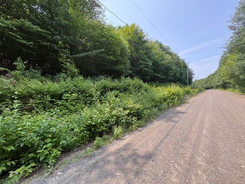 Terre/Terrain - Ch. Dubeau, Val-Des-Lacs, QC 