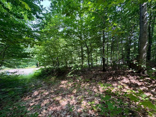 Terre/Terrain - Ch. Dubeau, Val-Des-Lacs, QC 