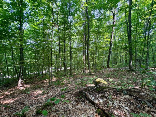 Terre/Terrain - Ch. Dubeau, Val-Des-Lacs, QC 