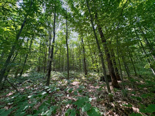 Terre/Terrain - Ch. Dubeau, Val-Des-Lacs, QC 