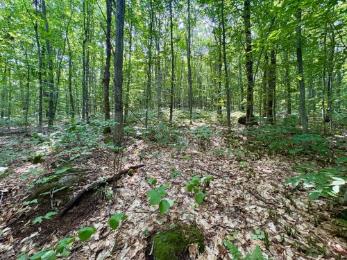 Terre/Terrain - Ch. Dubeau, Val-Des-Lacs, QC 
