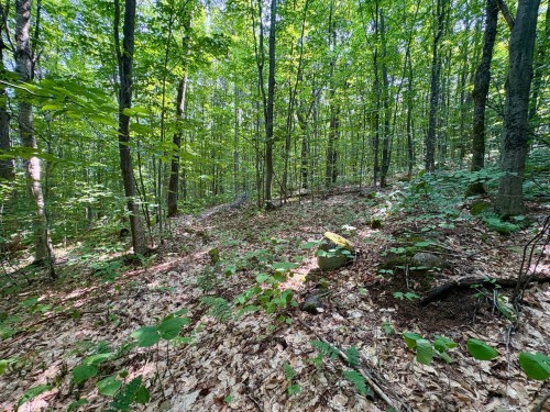 Terre/Terrain - Ch. Dubeau, Val-Des-Lacs, QC 