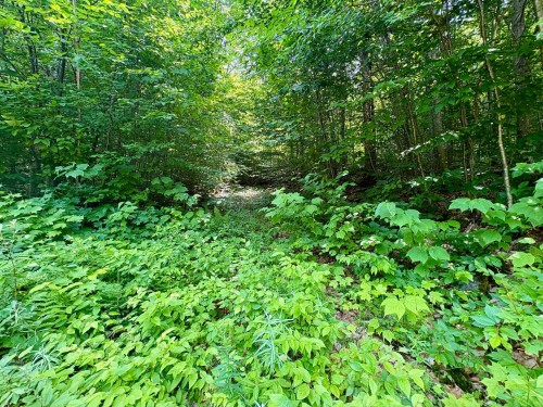 Terre/Terrain - Ch. Dubeau, Val-Des-Lacs, QC 