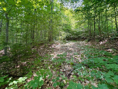 Terre/Terrain - Ch. Dubeau, Val-Des-Lacs, QC 
