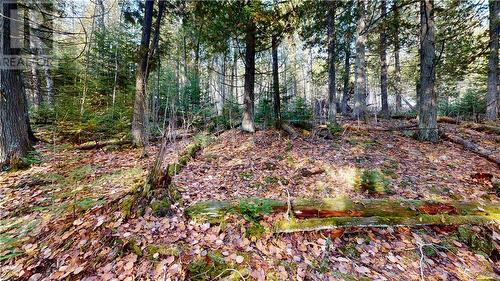 7 Sandy Point, Manitowaning, ON 