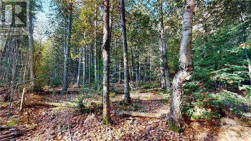 7 Sandy Point, Manitowaning, ON 