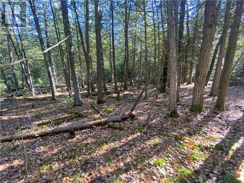 7 Sandy Point, Manitowaning, ON 