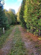 PT LOT 88 HWY 10 HIGHWAY West Grey, ON N0C 1H0