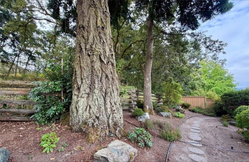 809 Rogers Way, Saanich, BC 