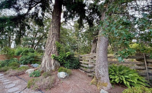 809 Rogers Way, Saanich, BC 