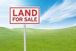 0 Scotts Lane NORTH Cbs, NL A1X 6L2