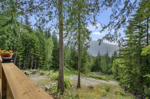 760 Kangaroo Trail, Nakusp, BC - Outdoor With View