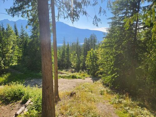 760 Kangaroo Trail, Nakusp, BC - Outdoor With View