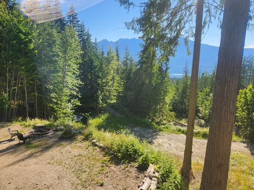 760 Kangaroo Trail, Nakusp, BC - Outdoor With View