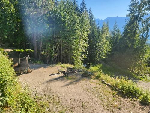 760 Kangaroo Trail, Nakusp, BC - Outdoor With View
