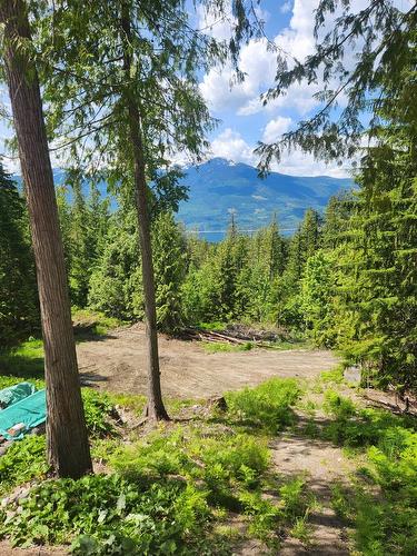760 Kangaroo Trail, Nakusp, BC - Outdoor With View