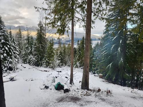 760 Kangaroo Trail, Nakusp, BC - Outdoor With View