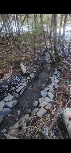 760 Kangaroo Trail, Nakusp, BC - Outdoor With View