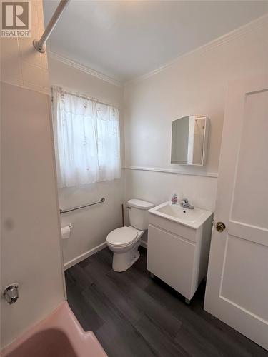 87 Circular Road, Grand Falls Windsor, NL - Indoor Photo Showing Bathroom