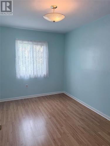 87 Circular Road, Grand Falls Windsor, NL - Indoor Photo Showing Other Room