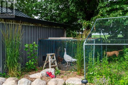 320 6 Concession E, Tiny, ON - Outdoor