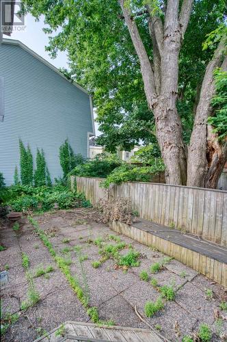 Private oasis with plenty of potential - 300 St Andrew Street, Ottawa, ON - Outdoor