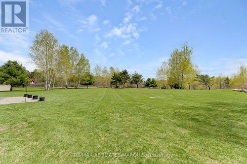 Back Yard - 9517 County Road 42 Road, Rideau Lakes, ON - Outdoor