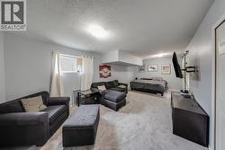 LARGE Downstairs Rec Room - 