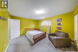 Large downstairs bedroom - 