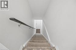 Carpeted staircase with a dark wood-finish handrail and light-toned walls - 