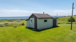 Shed - 
