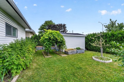 Cour - 14 Rue Henri, Saint-Esprit, QC - Outdoor